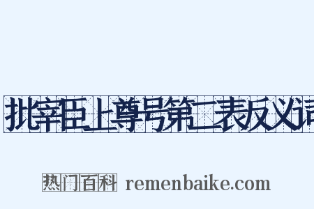 批宰臣上尊号第二表反义词是什么意思的图片
